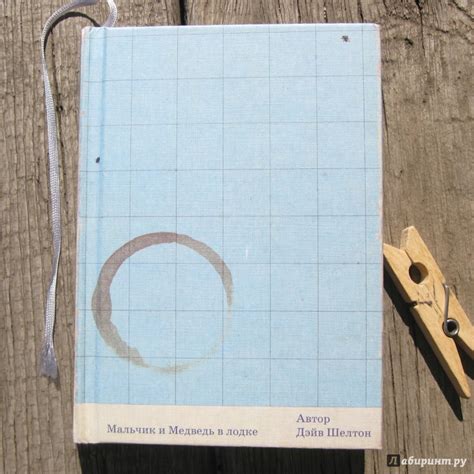 Книга: Мальчик и Медведь в лодке - Дейв Шелтон. Купить книгу, читать ...