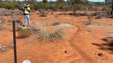 KalGold hits shallow gold in Providence drilling | The West Australian
