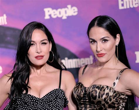 What Are the Bella Twins Doing Now? All About Nikki and Brie Garcia