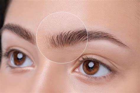 Sobrancelha Quanto Tempo Demora Para Crescer - Quanto tempo leva para as sobrancelhas voltarem a crescer?
