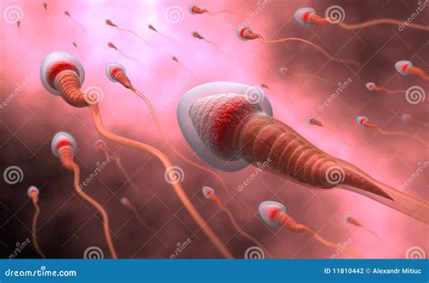 Natural Insemination - Sperm Stock Photography - Image: 11810442