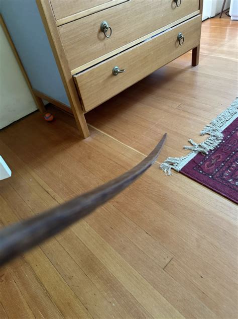 vintage discovery  intriguing find   century  home good