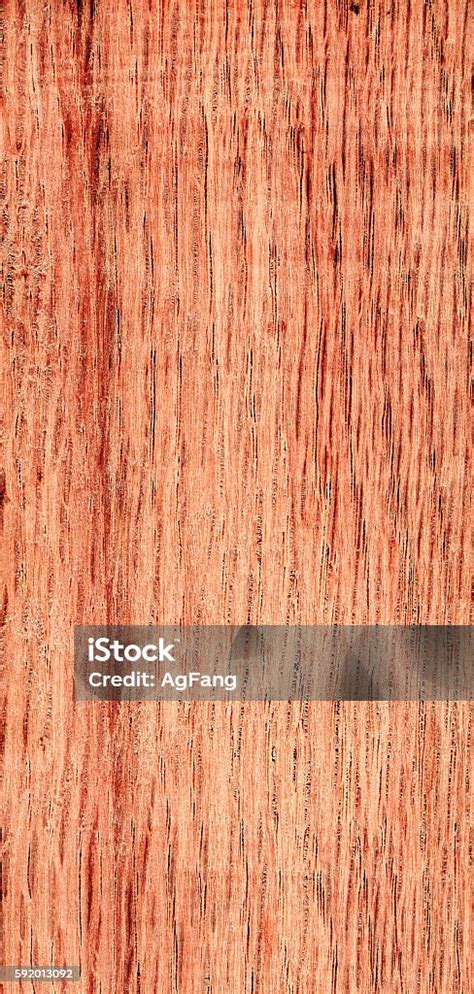 Red Oak Wood Texture Stock Photo - Download Image Now - Artificial ...