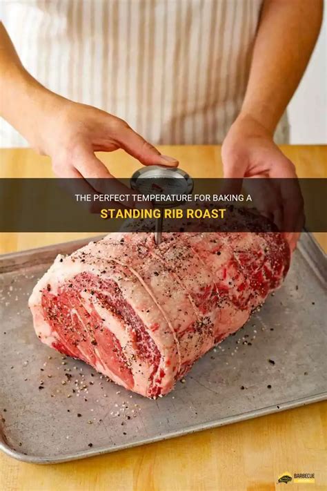 The Perfect Temperature For Baking A Standing Rib Roast | ShunGrill