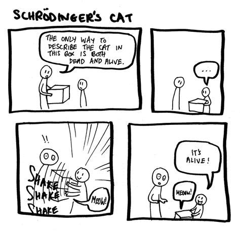 13 Best Schrodinger's cat ideas | schrodingers cat, schrödinger's cat ...