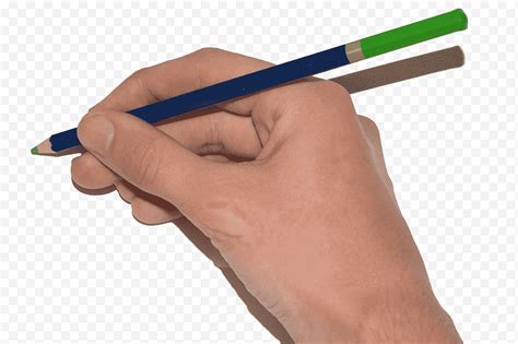 рука с карандашом, человек, использующий синий карандаш png | Klipartz