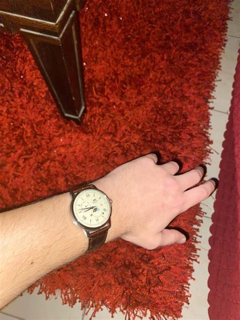 orient bambino     rwatches