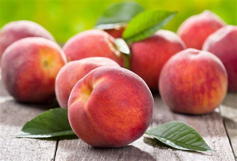 Peach Species