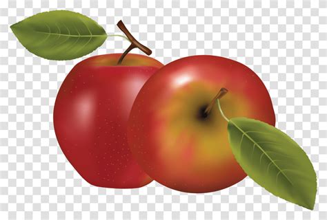 clipart apples background apple icon background tennis ball sport