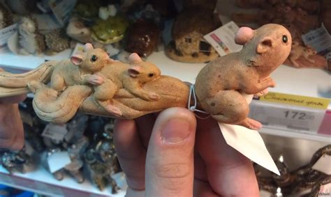 Садовые фигурки... | Пикабу