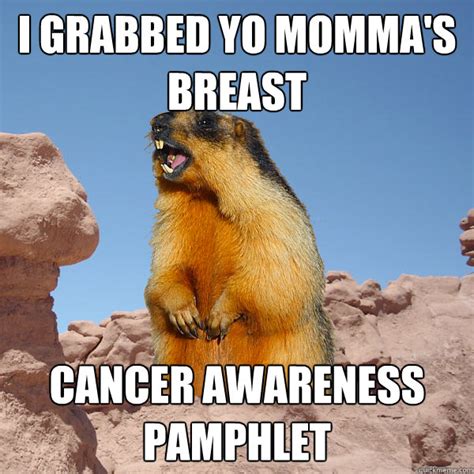 Mompliment Marmot memes | quickmeme