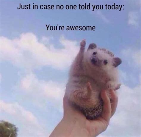 You are all awesome : r/wholesomememes