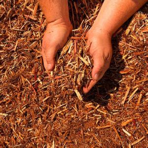 Cedar Mulch | Northern Land