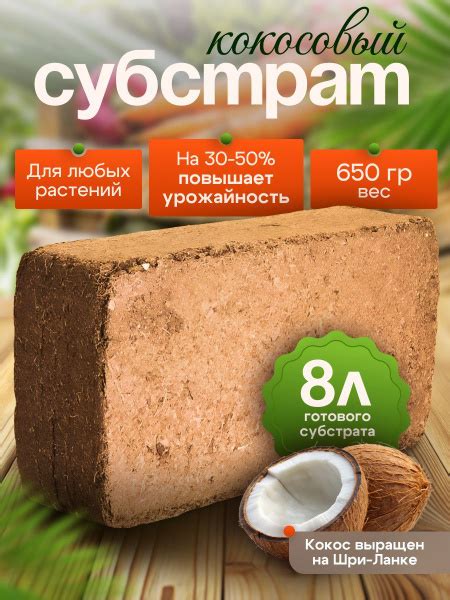 Кокосовый субстрат 5 литров купить c доставкой на OZON по низкой цене ...