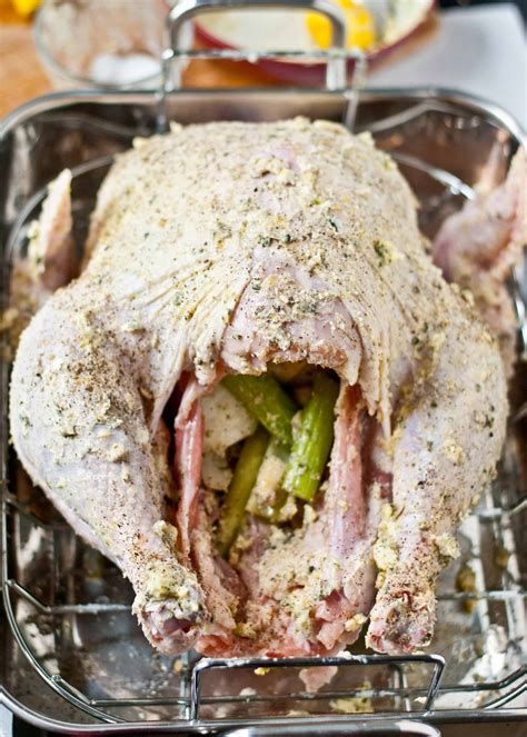 how to cook turkey roaster oven 1