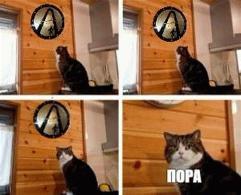 пора Its Time Meme - Пора Its Time - Discover & Share GIFs