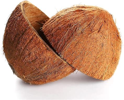 Coconut Shell - Crushed Coconut Shell Latest Price, Manufacturers & Suppliers