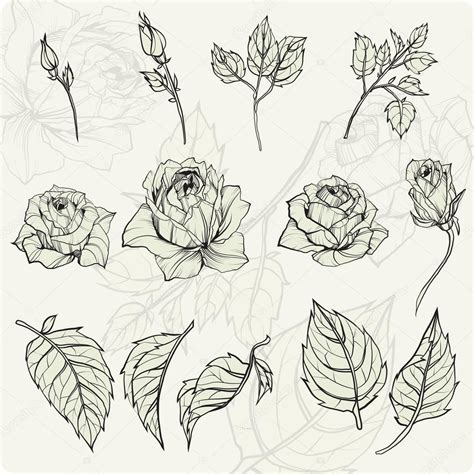 Rose Leaves Drawing at GetDrawings | Free download