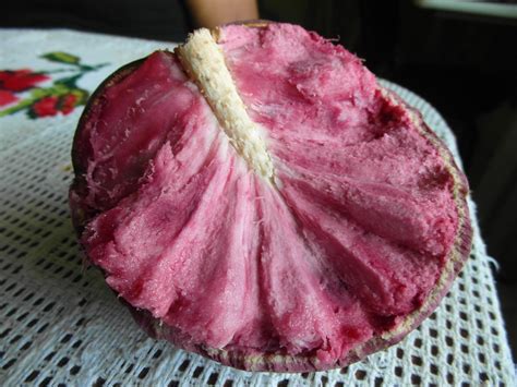 Fruta Que Começa Com A Letra I - Frutas Que Começa Com A Letra I - ZULEDU