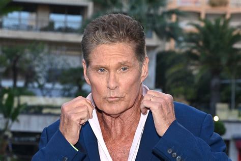 David Hasselhoff - Useful Talent