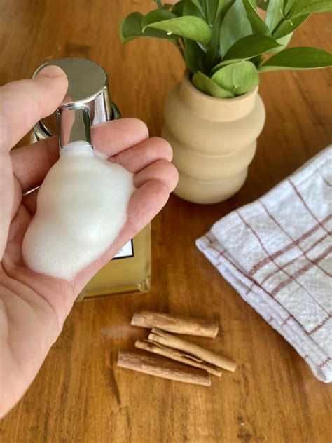 DIY Foaming Hand Cleaning soap with Free Printables - Monidom