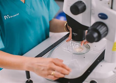 IVF: what you need do if you want to have a baby in 2024. • CHILD Magazines