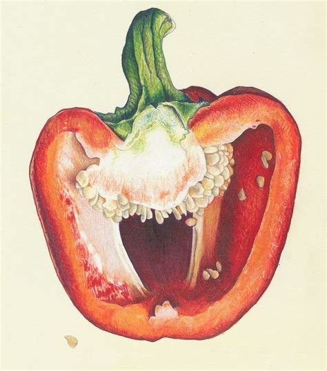 Look what you can do with markers, bic pen and colored pencils! PEPPERS ...