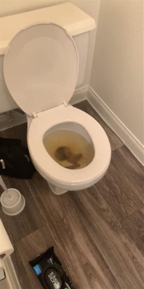 str buddys dump rpoop