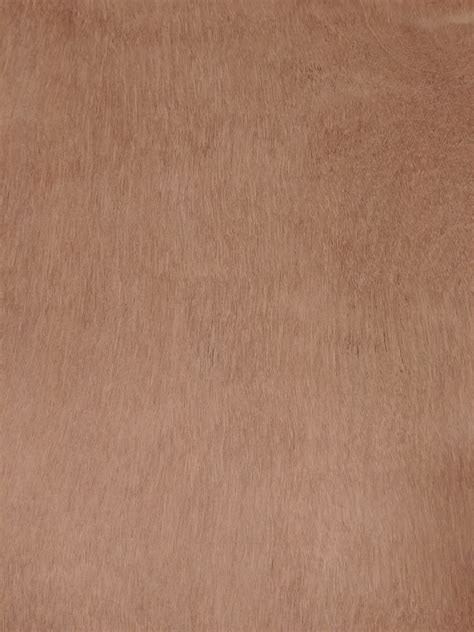 Marine Grade Plywood - Wood Shed