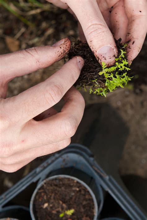 volunteer-action-item-photo_0.jpg | John James Audubon Center at Mill Grove