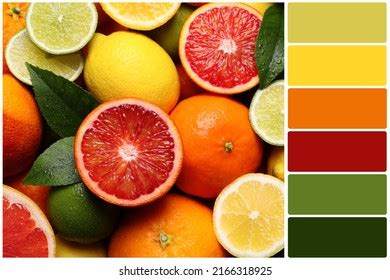 ripe citrus fruits color palette stock photo