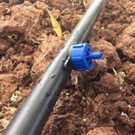 pc  pc button dripper   price  rau  samadhan agro