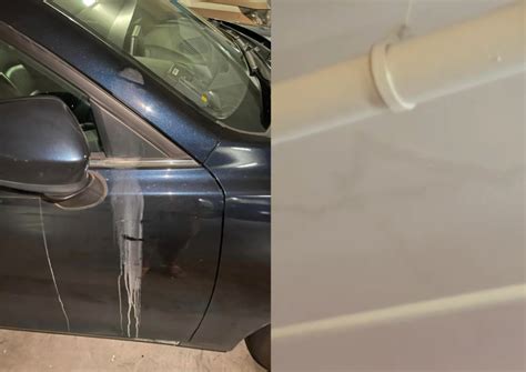 'Park at your own risk': Driver finds car stained by paint leaks from ...