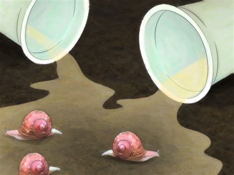 How To Get Rid Of Lawn Snails at John Rosado blog