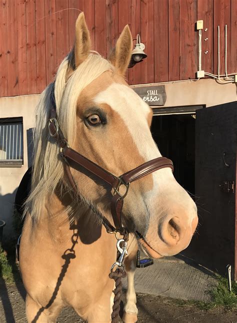 His eyes still make me weak in the knees, sometimes I catch myself just