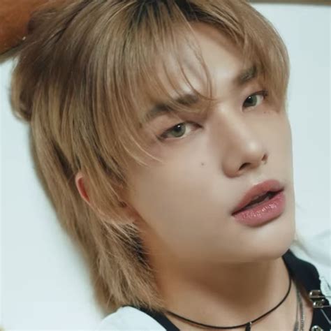 pin  stray kids