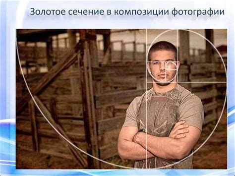 Золотое сечение - online presentation