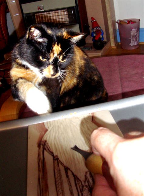 Cat And Cut – scribblah