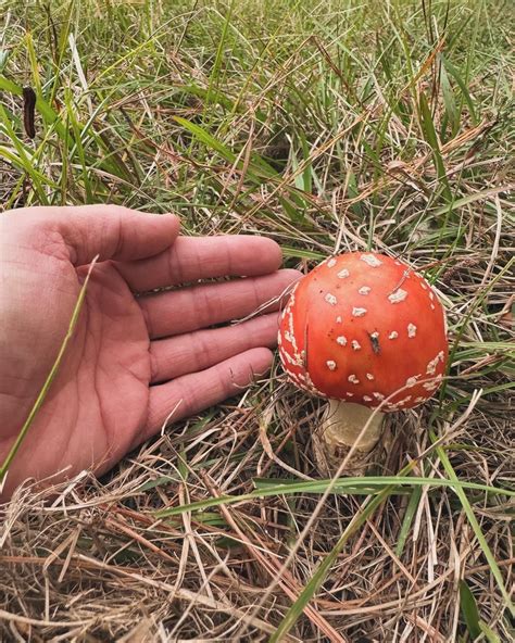 Familiar local faces found in mugshots of gainesville today 8