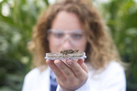 Tecnólogo Em Agronomia Ead