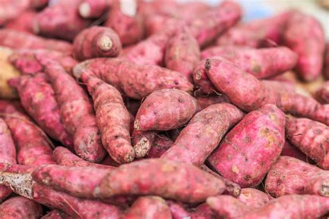 Raiz Da Batata Doce - MAGEDU