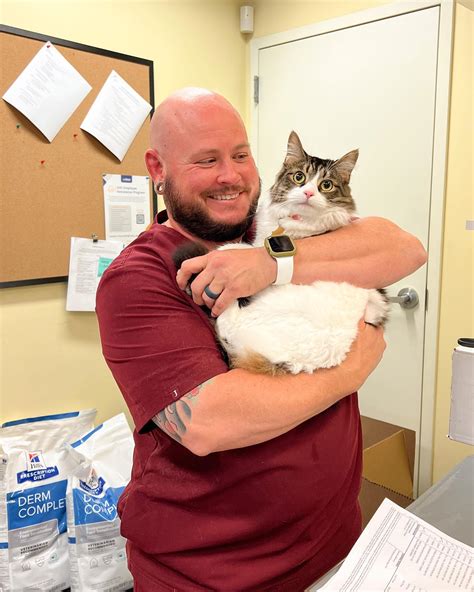 Olive is feline 🐈 great... - Peachtree Hills Animal Hospital