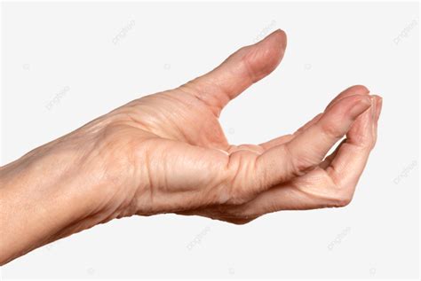 hand side view people macro human png transparent image  clipart