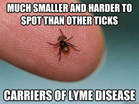 Small tick meme - Victorea Luminary