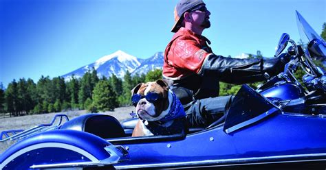 Car Rentals - Discover Flagstaff