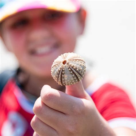 Coastal Explorers Camp - Coastal Expeditions Beaufort