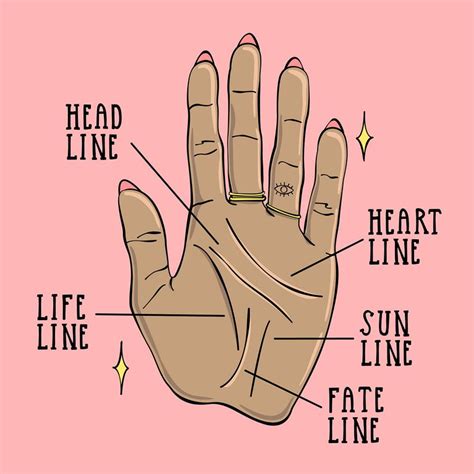 exploring palm lines      illustration