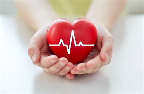 What to Expect in Human Heart Surgery - HealthBeauty123 | Your Health ...