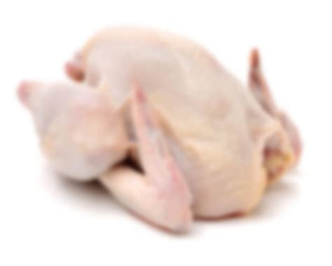 frozen chicken   price  pune maharashtra fresh food enterprises
