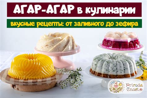 Агар-агар – рецепты и сравнение его с желатином